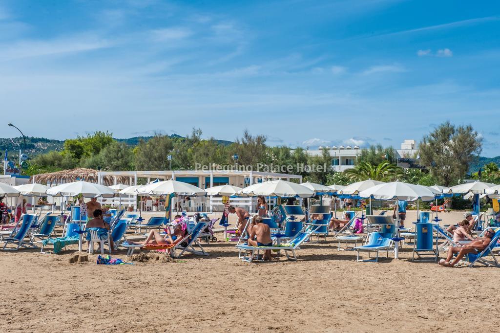Pellegrino Palace Hotel Vieste Bagian luar foto