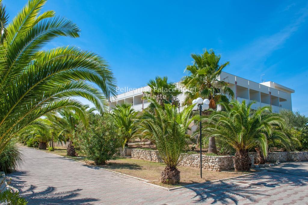 Pellegrino Palace Hotel Vieste Bagian luar foto